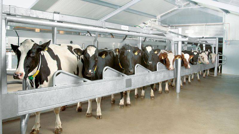 Die deutsche GEA Group, die mit etwas mehr als 2 Prozent im Fonds vertreten ist, stellt unter anderem Maschinen für die Milchindustrie her. / Foto: Unternehmen