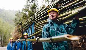Plantagenarbeiter von Asain Bamboo. / Foto: Unternehmen