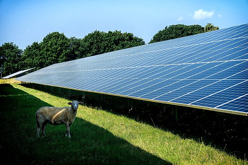 Solarpark Burhafe im Landkreis Wittmund, Niedersachsen. / Foto: ÖKORENTA