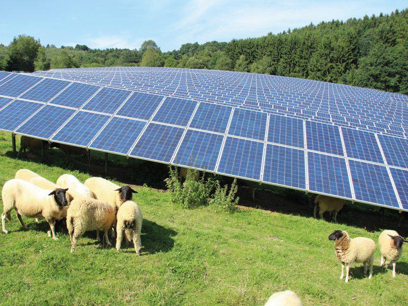 Referenzobjekt Solarpark Dietzhoelztal