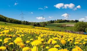 Der Windpark Weilrod nahe Wiesbaden ist eine der jüngsten Neuerwerbungen der ABO Invest AG. / Foto: Unternehmen