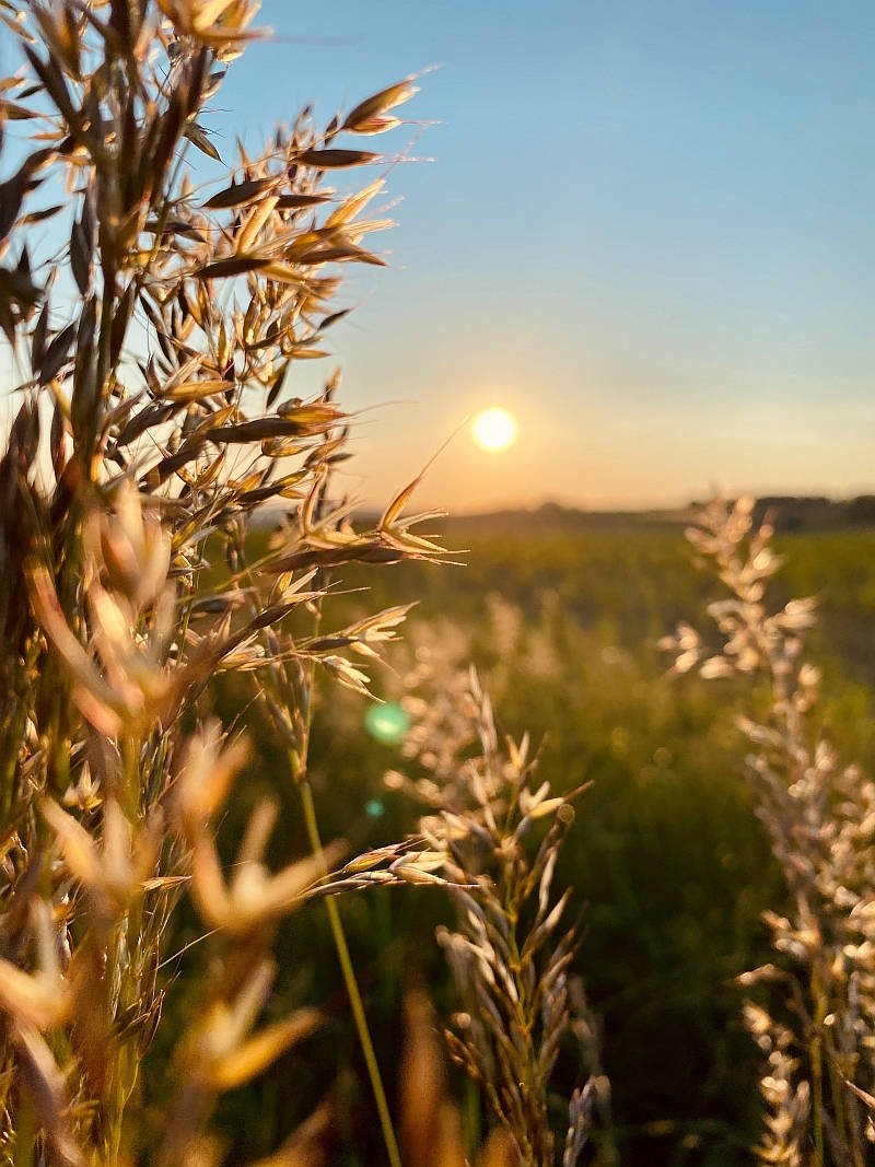 CAV plant Projekte in mehreren europäischen Ländern. / Foto: Marina Roth