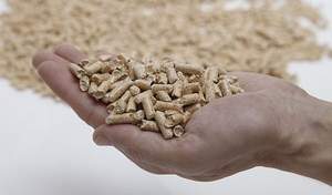 German Pellets gehört nach eigenen Angaben zu den größten Herstellern und Händlern von Pellets und Hackschnitzeln. / Foto :Unternehmen