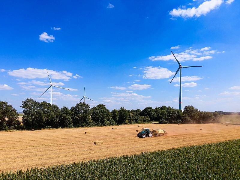 ÖKORENTA-Windpark Emlichheim in Niedersachsen. / Foto: ÖKORENTA