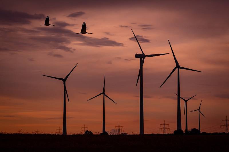 Clearway Energy hat im zweiten Quartal deutlich weniger Windstrom produziert. / Foto: Pixabay