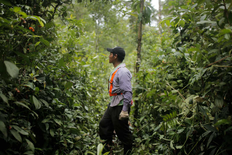 Bis 2022 will The Generation Forest 10 Quadratkilometer Land gekauft haben. / Foto: Emir Lebedev