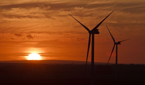 Windräder von Vestas in Australien. / Foto: Unternehmen