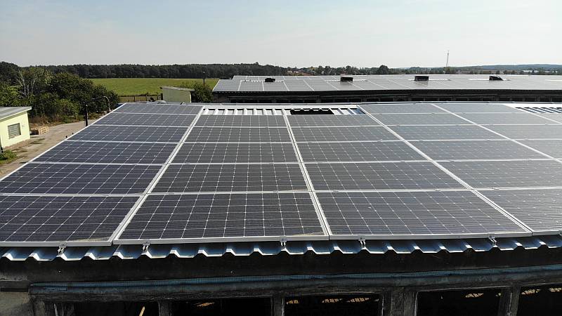 Die Solar-Dachanlage von Ranft in Neuzelle: / Foto Unternehmen