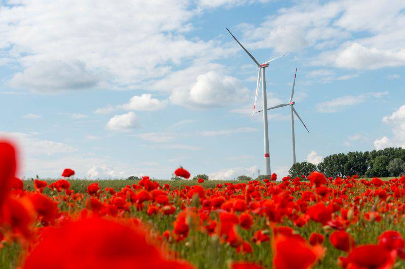 Windpark, der nach dem Börsengang Summiq gehören soll. / Foto: Summiq, Tobias Haase