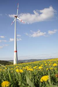 Naturstrom setzt auch auf Windkraft: Naturstrom-Windrad in Lichtenborn (Rheinland-Pfalz). / Foto: Unternehmen