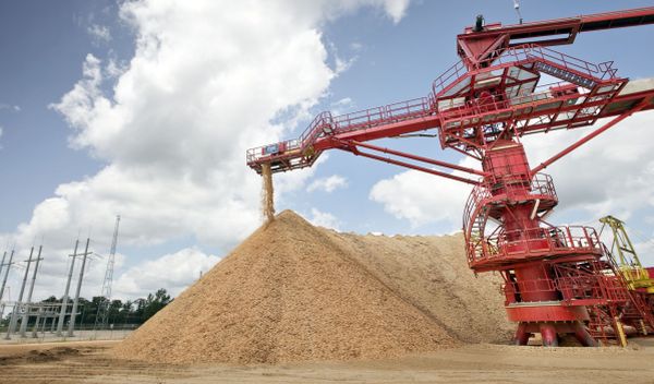 Hackschnitzel sind der Rohstoff mit dem German Pellets unter anderem in den USA produziert. / Foto: Unternehmen