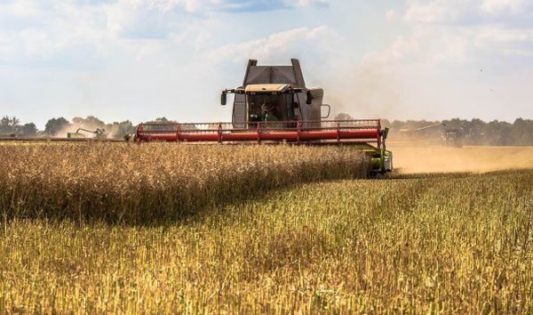Landwirtschaft ist das Kerngeschäft der KTG Argar SE. / Foto: Unternehemen