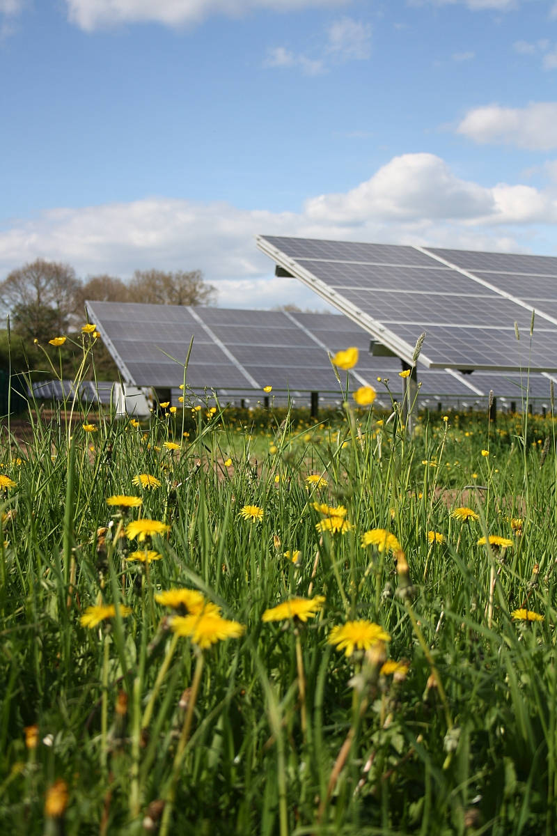 CAV will mittelbar in Solaranlagen investieren. / Foto: Grüne Sachwerte