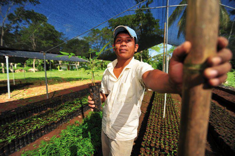 Baumschule von ForestFinance in Peru. / Foto: ForestFinance