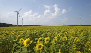 Windpark der Genossenschaft Greenpeace Energy aus Hamburg. / Foto: Unternehmen