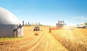 Ernte bei der KTG Agrar AG. / Foto: Unternehmen