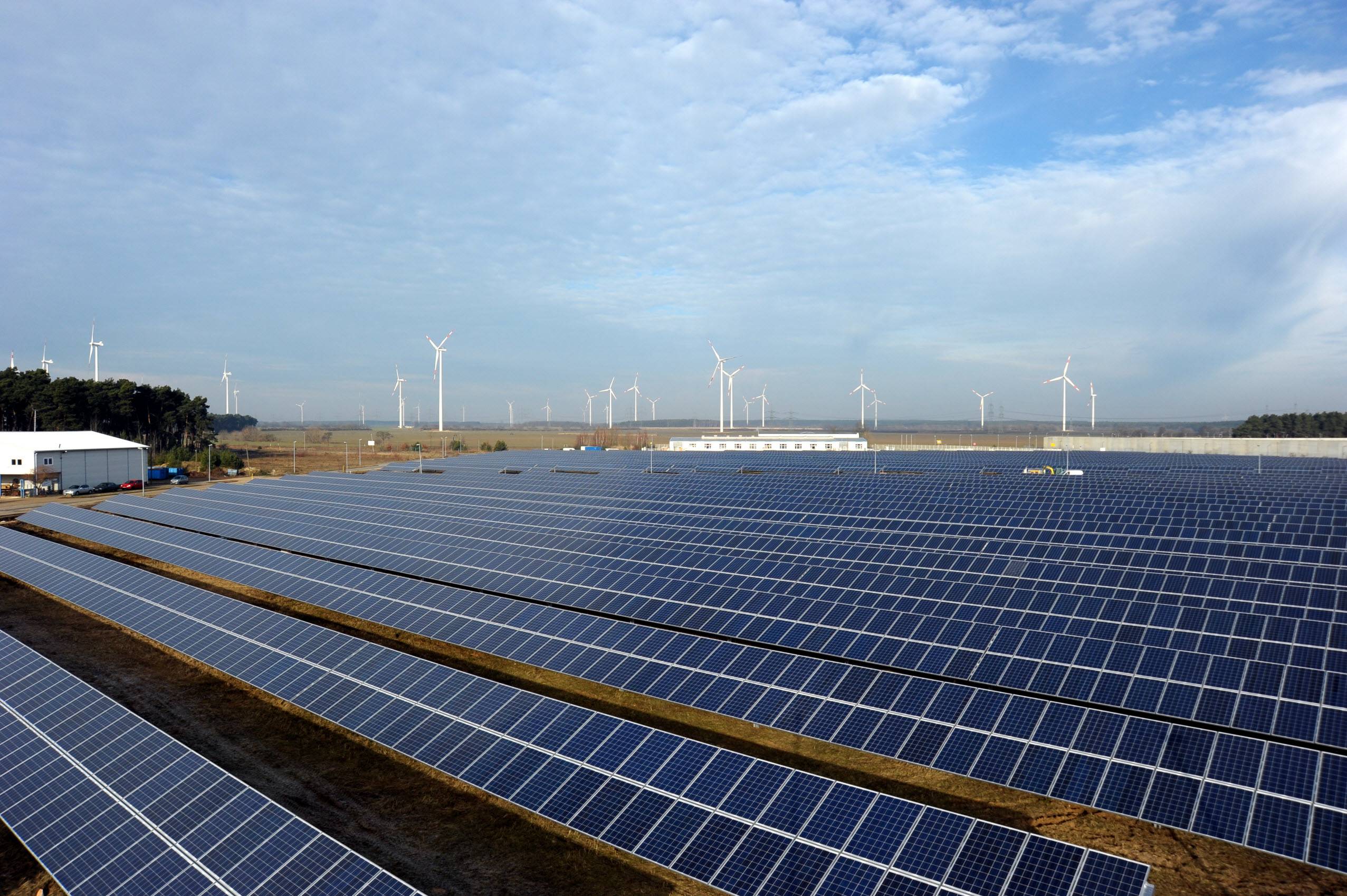 Geplante Investition: der Solarpark Duben in Brandenburg. / Foto: Unternehmen
